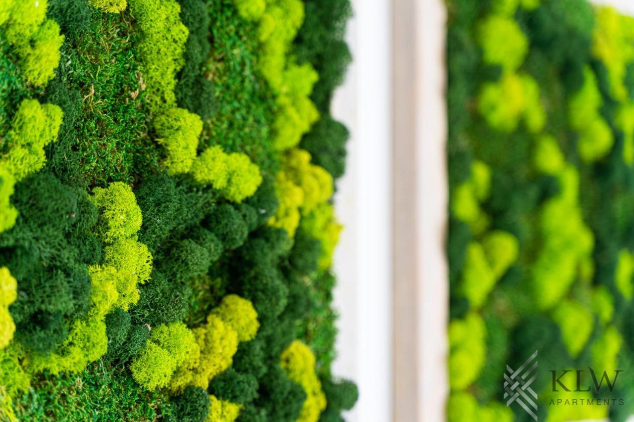 KLW apartments Garden centrum - klimatyzacja Szczecin Zewnętrze zdjęcie